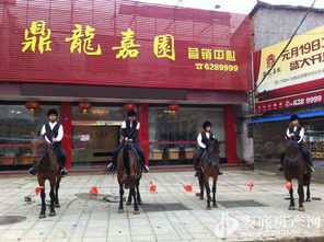 歡樂五一，來鼎龍嘉園免費騎馬玩?。埬緲I邀您共度佳節